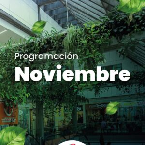 Noviembre 2024, nos preparamos para la bienvenida de la navidad